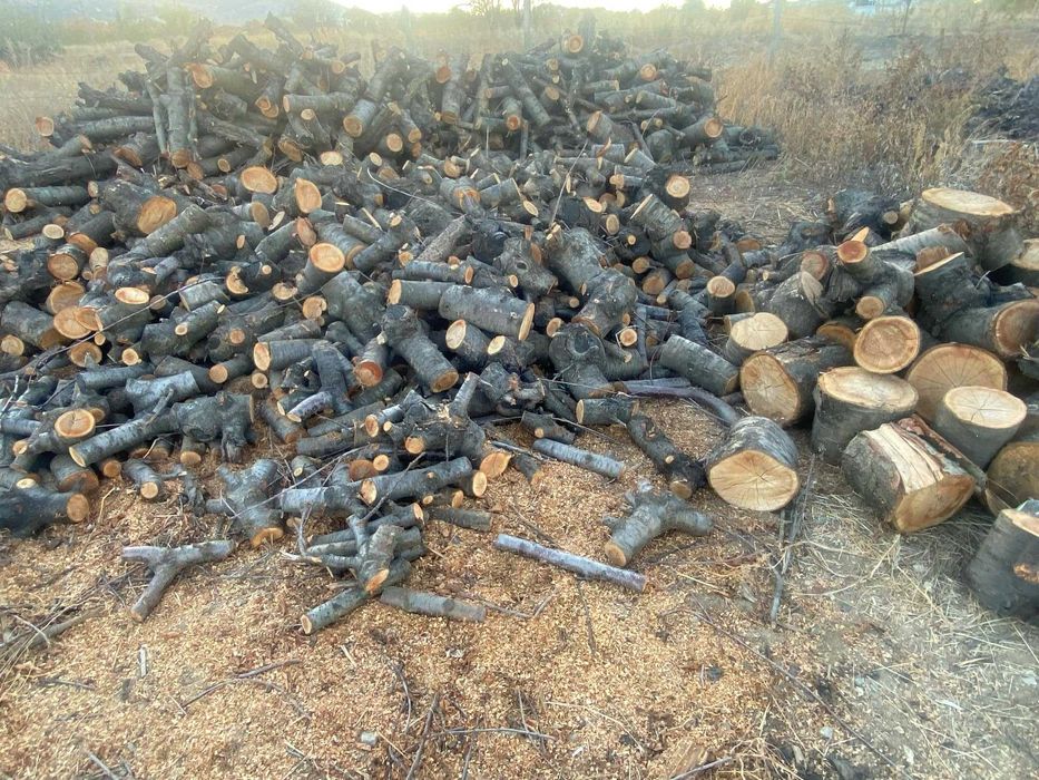 Дърва за огрев от череша