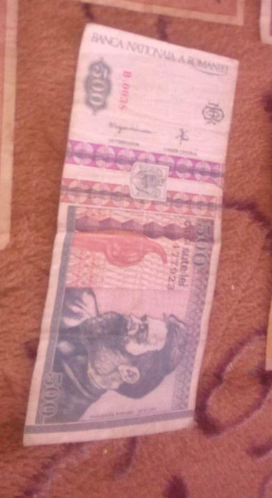 Aştept oferte licitație