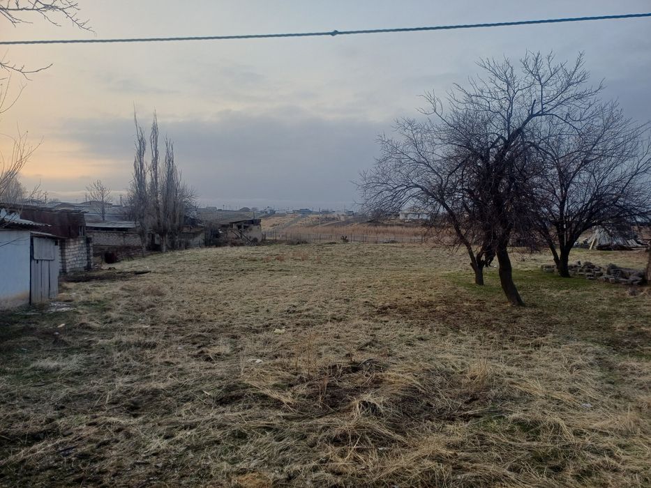8 сотик Кушкондидв захват 8
