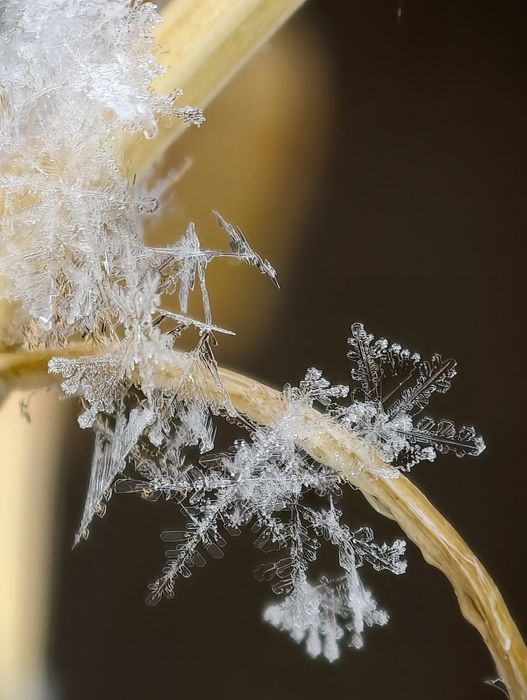 Vivo X300 pro 12/256gb