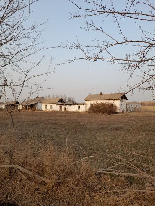 Sirdaryo viloyati Sirdaryo tumanida xovli sotiladi daryo boyida