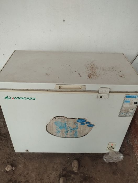 Халаделник авангард