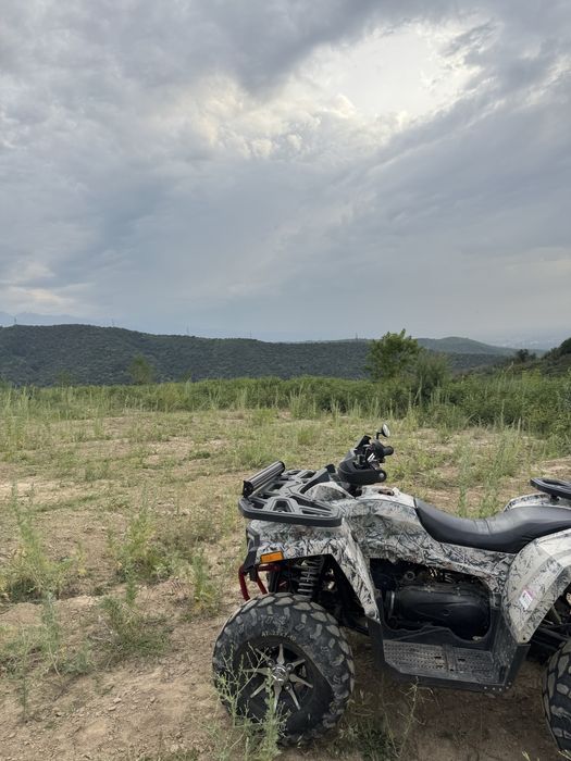 Продам квадроцикл TAO MOTOR 200LUX