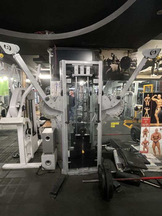 Професионален двоен скрипец Life Fitness