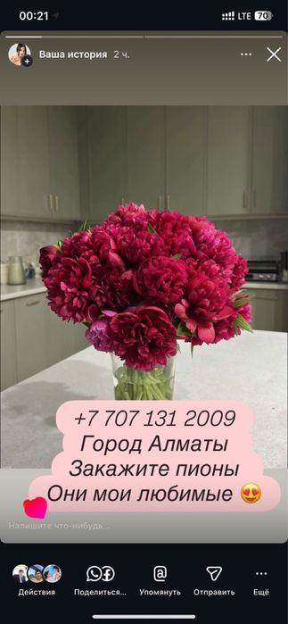 Свежие пионы около 5 сортов