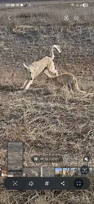 Рабочий тазы сатылады