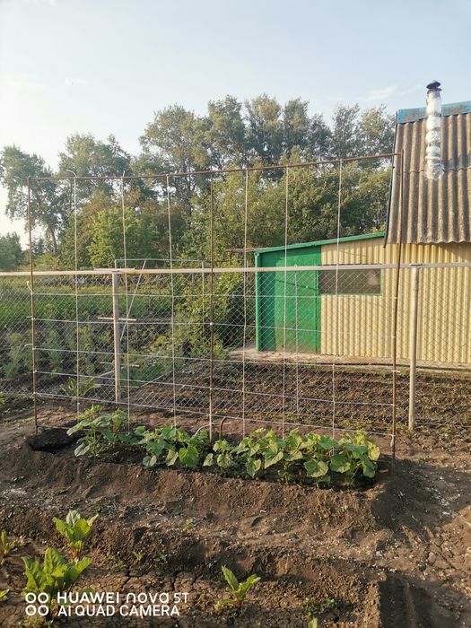 Продам дачу с летним домом