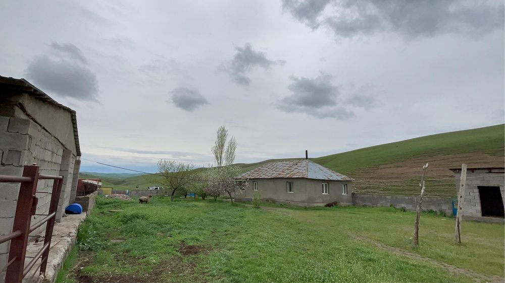 Сарай 150 га, хозяйство