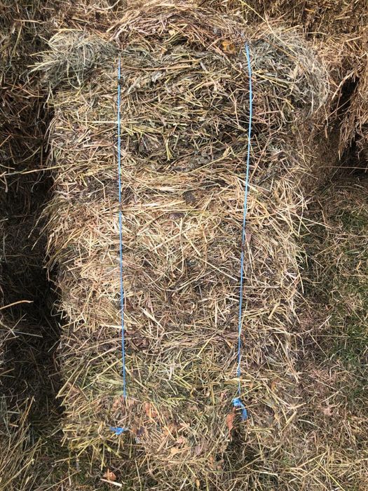 Baloți lucernă, semănătură și iarbă de coastă