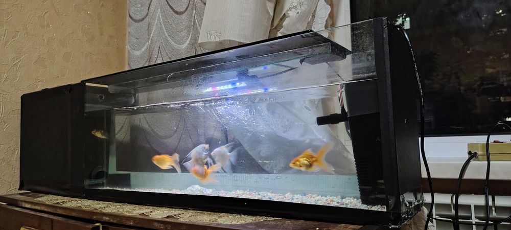 Akvarium komplekt sotiladi 60l