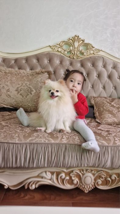 Девочка с полным пакетом документов в разведение