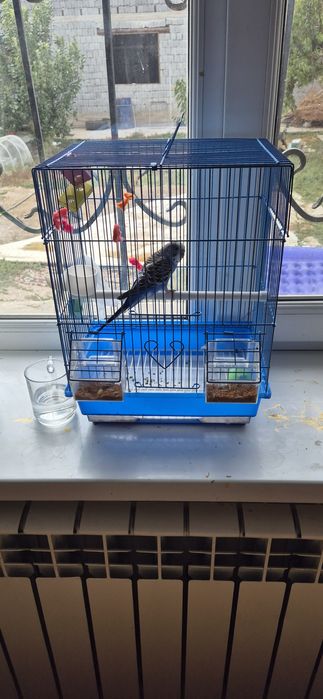 Клетка для Попугая