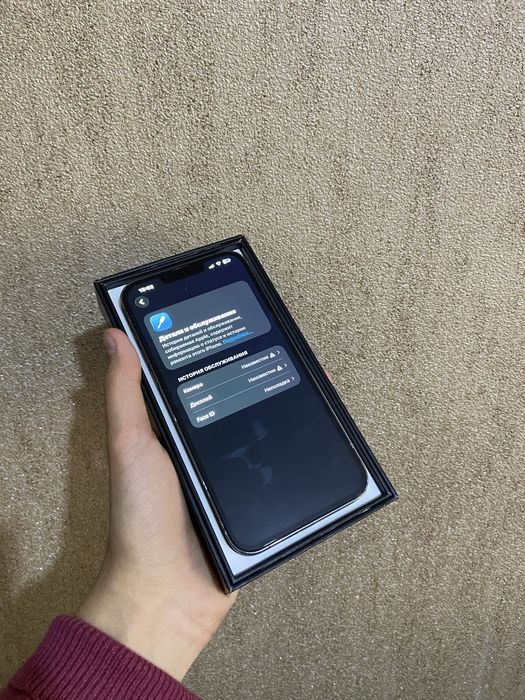 iPhone 13 Pro Max в рабочем состоянии