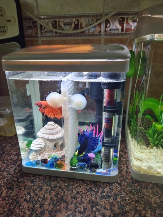 Продам два аквариума