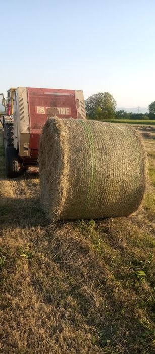 Първо косило люцерна и сено