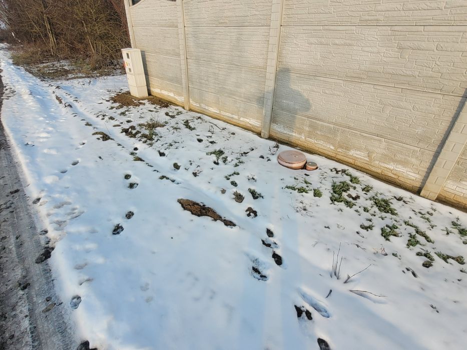 Vând teren intravilan  branesti islaz ilfov