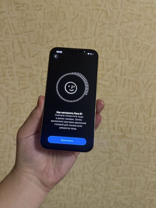 iPhone 13 Pro 256GB. В Идеале! 10/10.