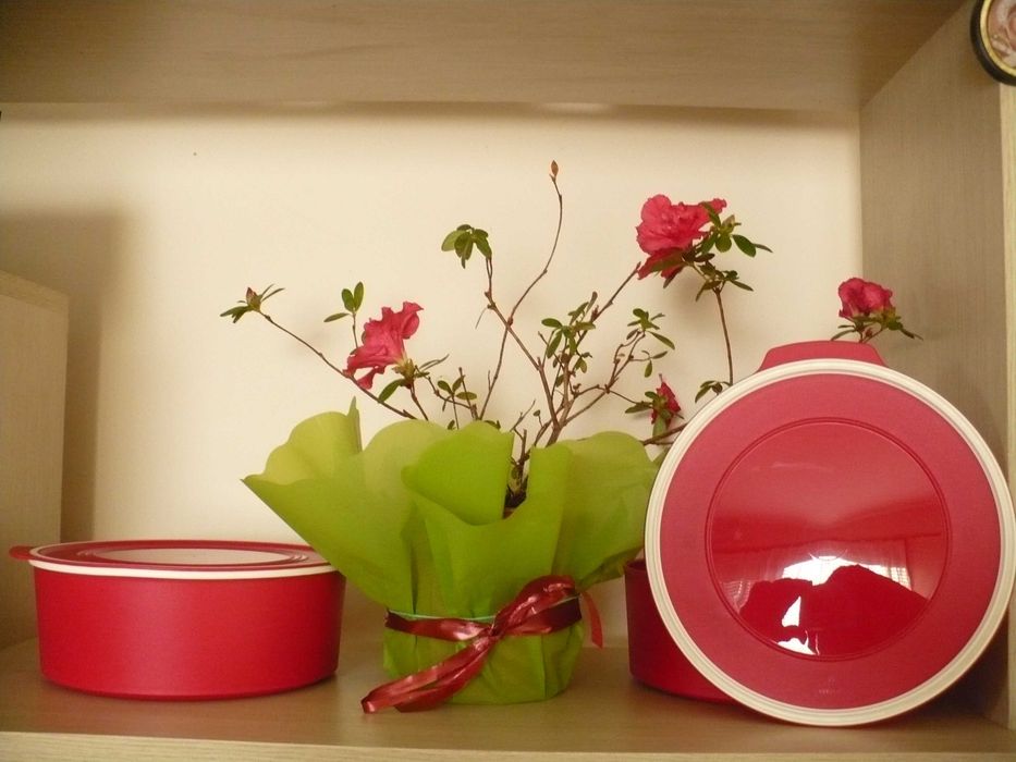 Купи Туто Фреско правоъгълни 2.1л ,  кръгли 1,5л и квадрат 500мл