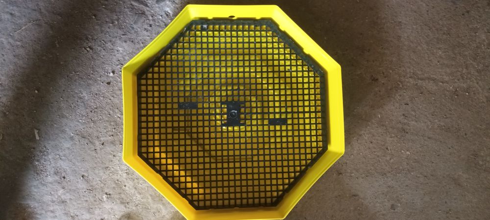 Icubator clio 50 oua