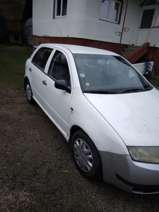 Vand skoda fabia 1