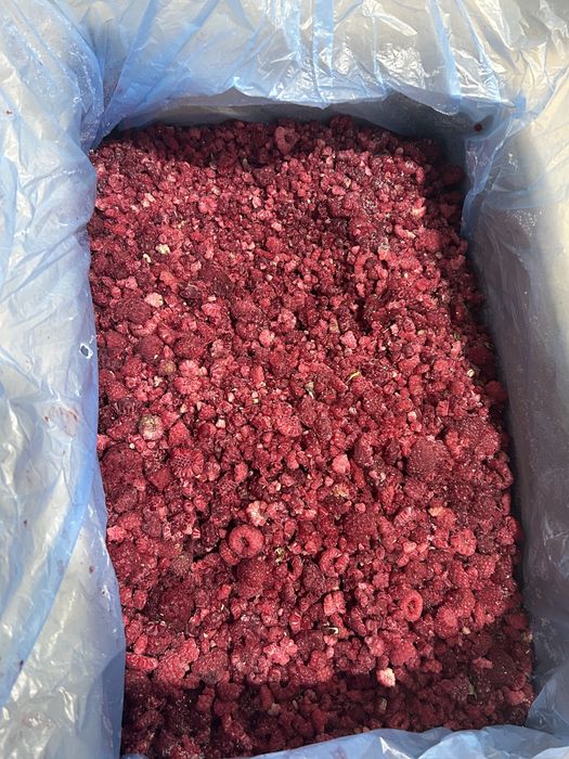 Zmeură congelată