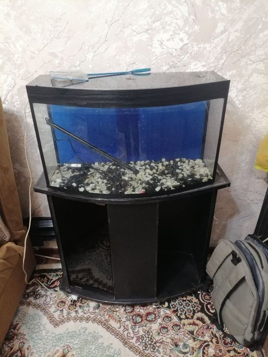 Аквариум 60 литров