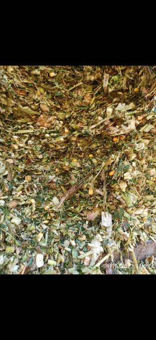 Силос бор 250 тона нархи 1000 сум келишамиз яма очилмаган