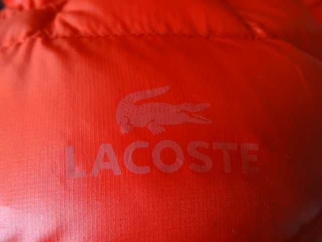 lacoste L мъжко пухено яке
