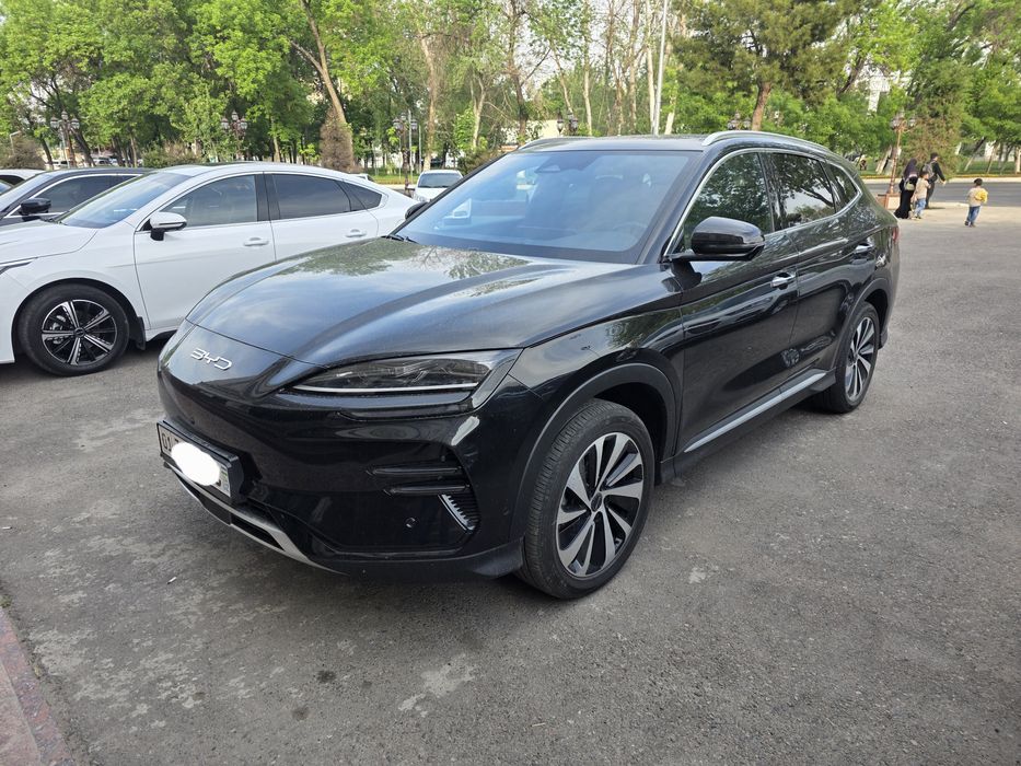 Other Song Plus DM-i Champion 2023 — 2