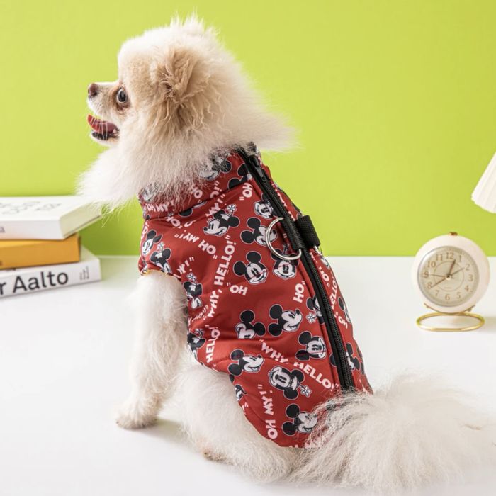 Дрехи, аксесоари и играчки за Вашия малък любимец