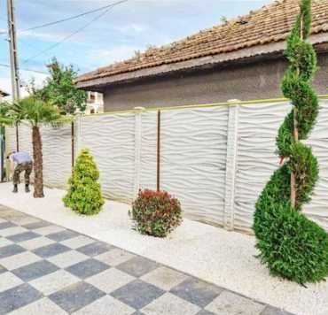 Plante Ornamentale pentru Gradina