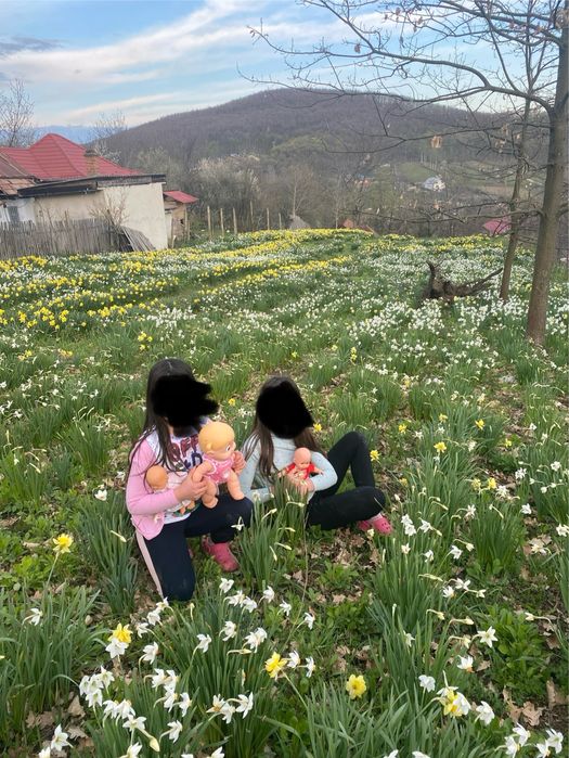 Casa Valea Mare la 3 km de centrul Pitestiului