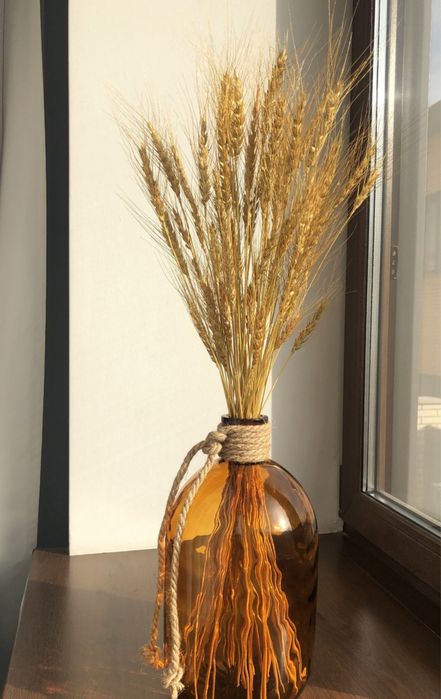 Пшеница, овёс для украшения и поделок.