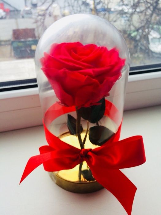 Trandafir rosu roze xxl 150 lei