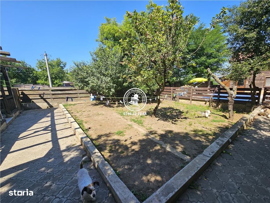 Vila 5 camere, 696 mp teren, Piscina - Aroneanu , Iasi