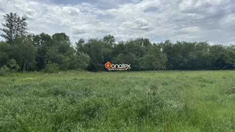 Продава се Парцел в Карлово - 5860 кв.м за 30 €/кв.м - Снимка #2