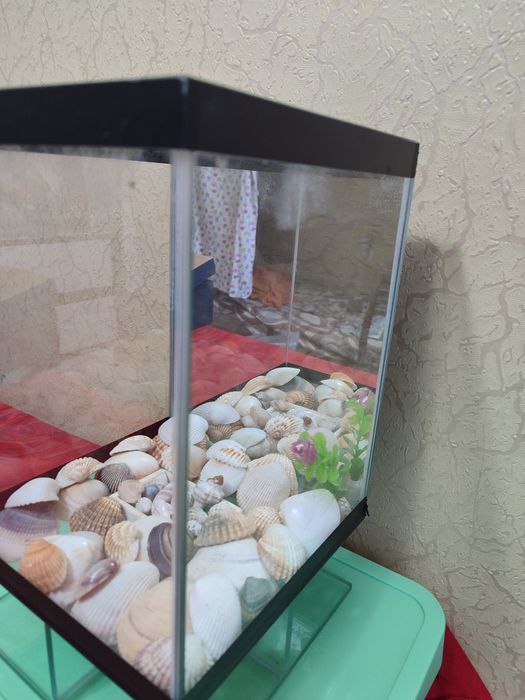 Продаю Аквариум 8-9 литров