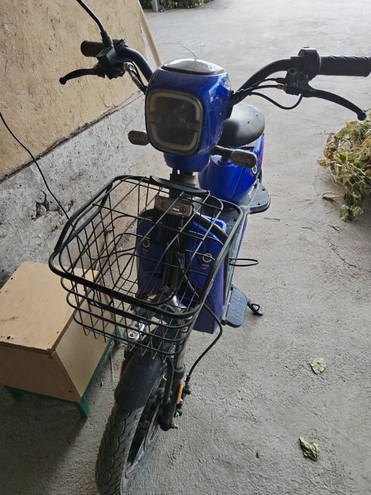 Sukutrir holati yaxshi