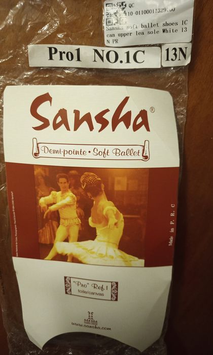 Pointe ballet men poante