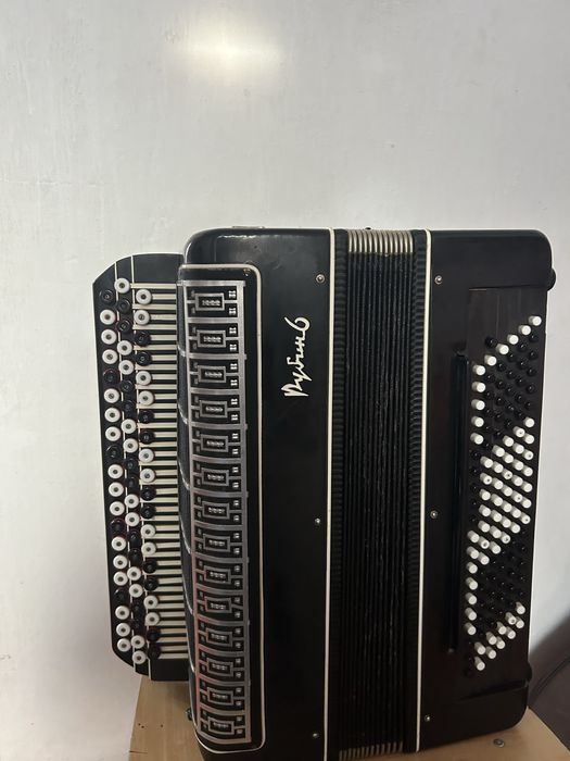 Баян Рубин 6 сатылады