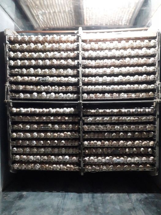 Инкубатор сотилади