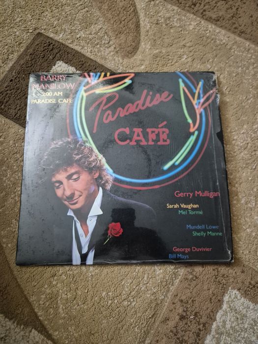 Discuri de vinil