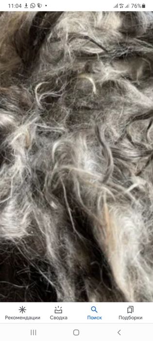 Ешкі жүн    қабылдаимыз түбыт