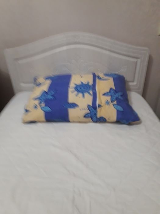 Продам  гусиный пух на подушки.