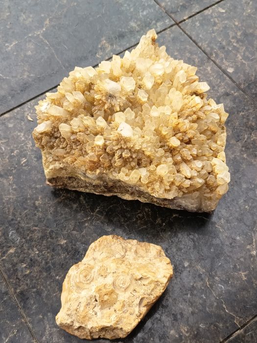 Se vinde Roca Cu Fosile Marine & Cluster De Citrin