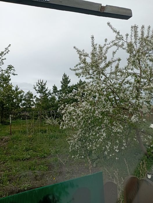 Продам дом село Озен