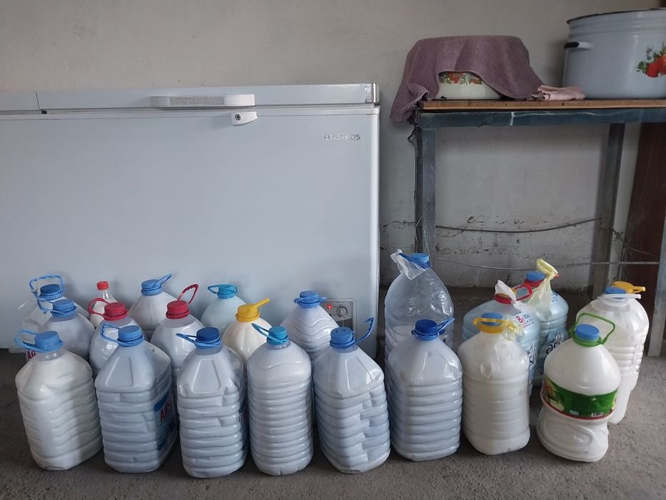 Қымыран , түйе сүті