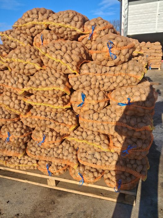 Cartofi samanta alb si rosu