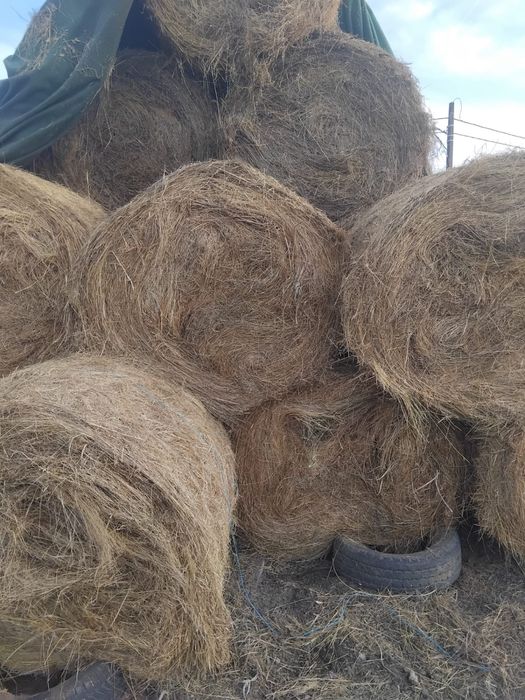 Vând baloți de fân