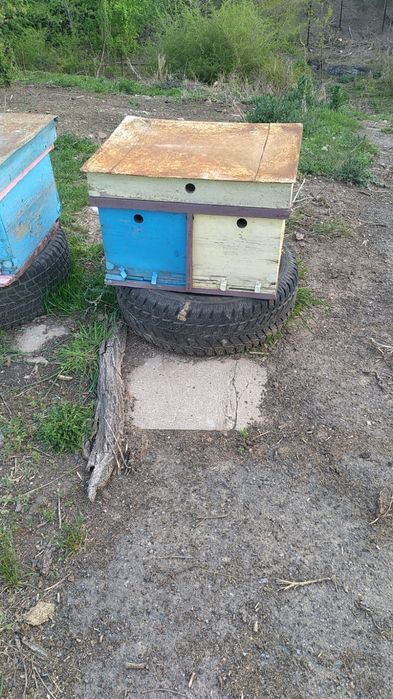 Продам деревянные улья